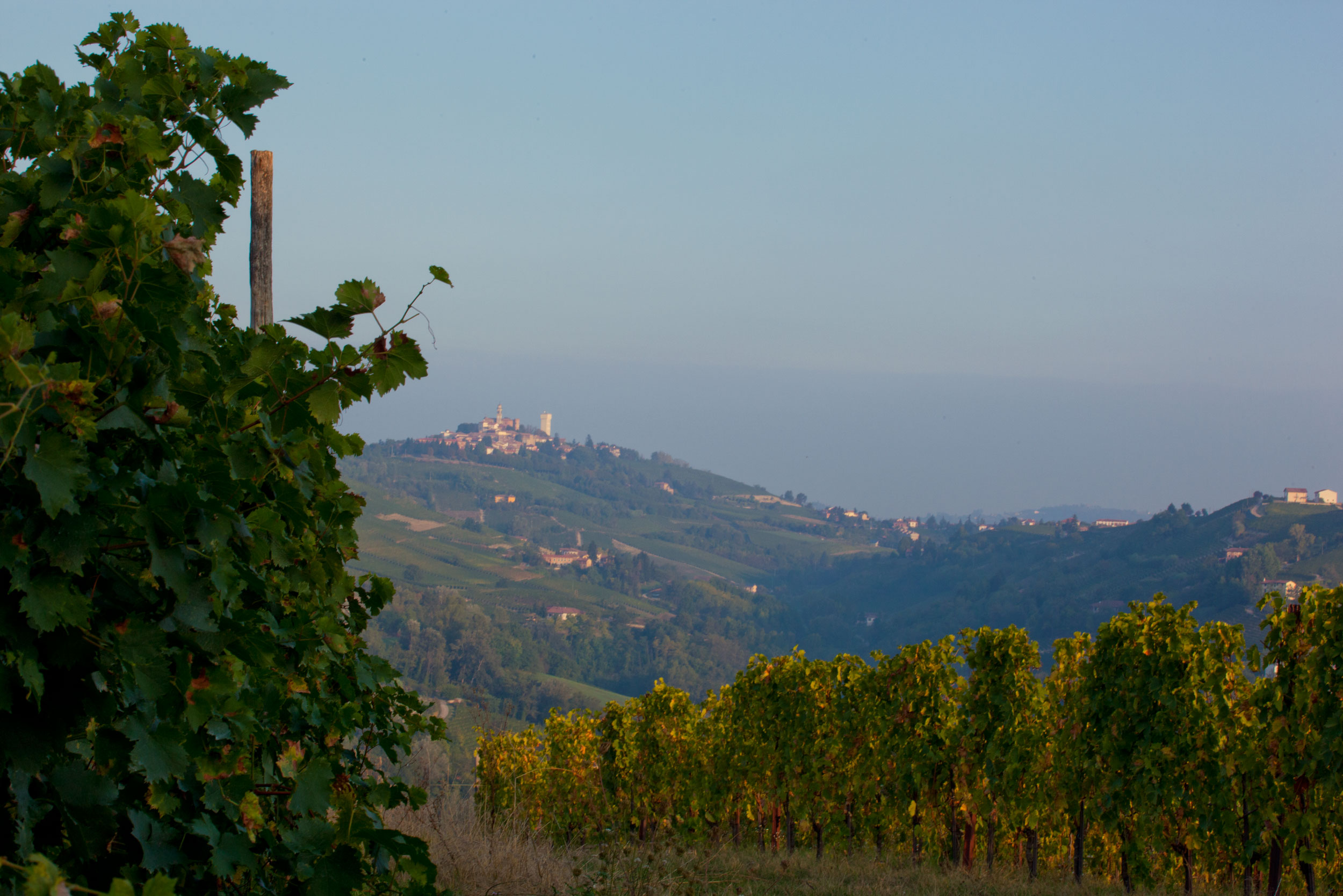 LE NOSTRE COLLINE